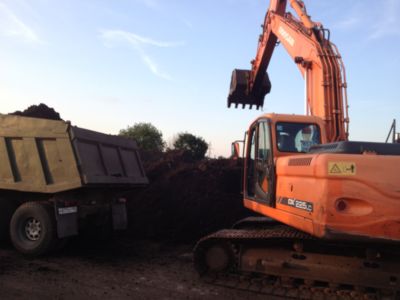 Торф низинный